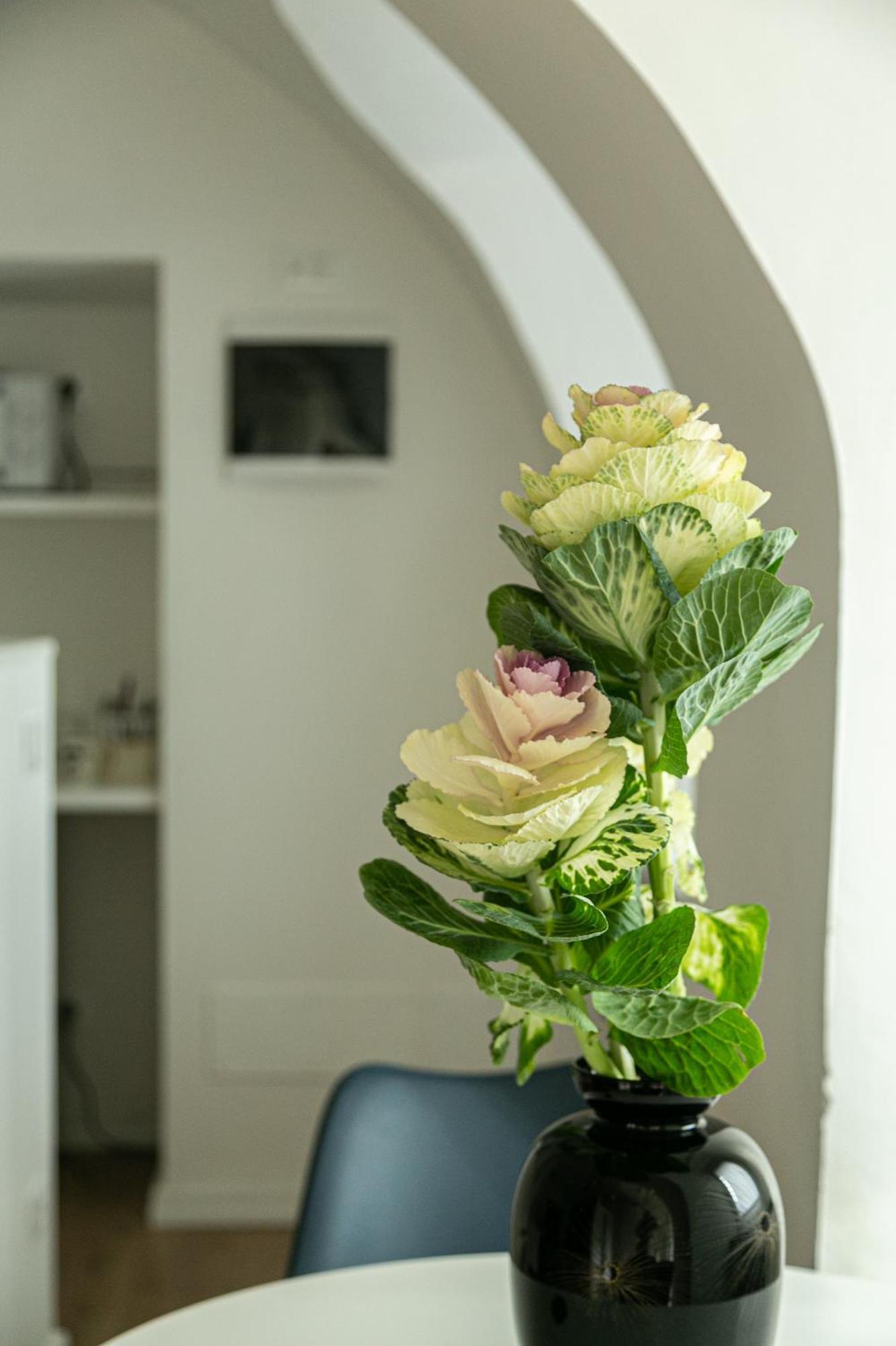Casa Di Beppe Citta Alta Apartment Bergamo Bagian luar foto